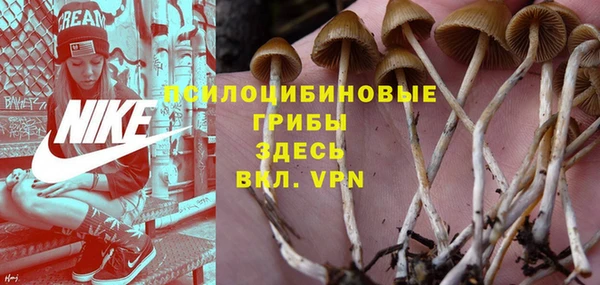 ALPHA-PVP Белокуриха