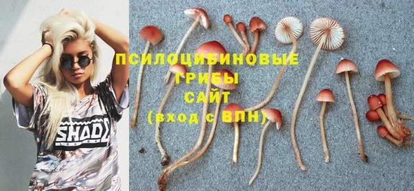 ALPHA PVP Беломорск