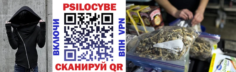 Псилоцибиновые грибы Cubensis  сайты даркнета телеграм  Верхотурье  купить наркотики цена  MEGA как войти 